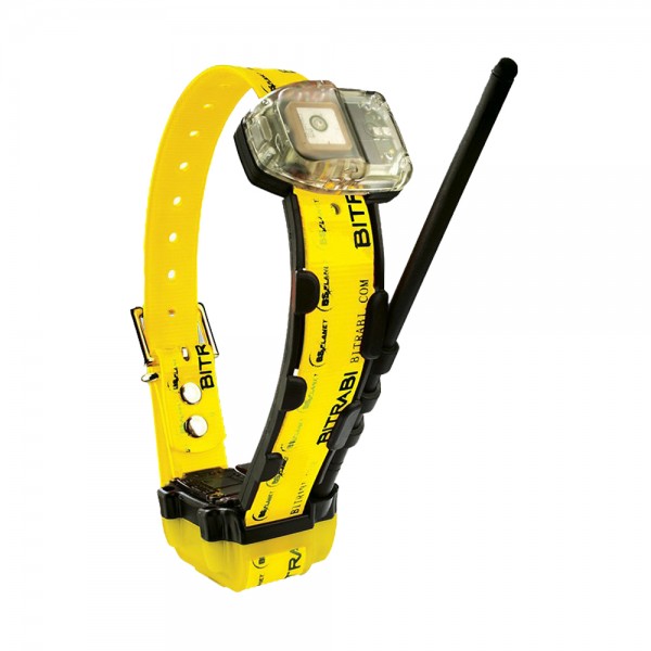 Radio + GPS collar for hunting dogs MITO 5100 BITRABI