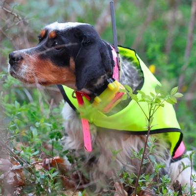 Collar Radio + GPS para perros de caza MITO 5100 BITRABI