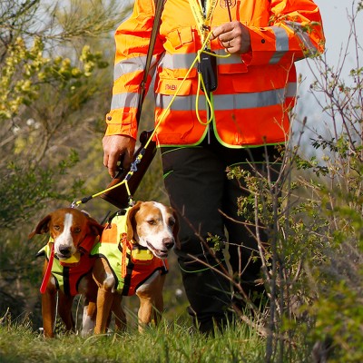 Collar Radio + GPS para perros de caza MITO 5100 BITRABI