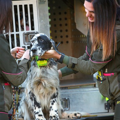 Collar Radio + GPS para perros de caza MITO 5100 BITRABI