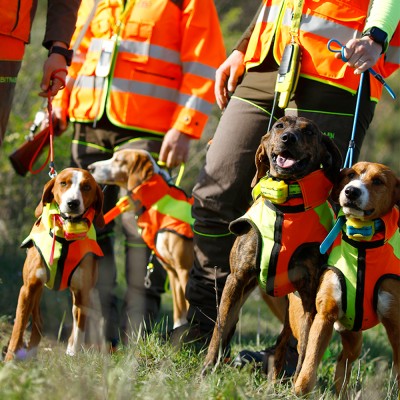 Collar GSM para perros de caza MITO 5200 BITRABI