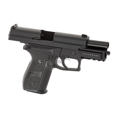 P229 Metal Completo GBB [WE]